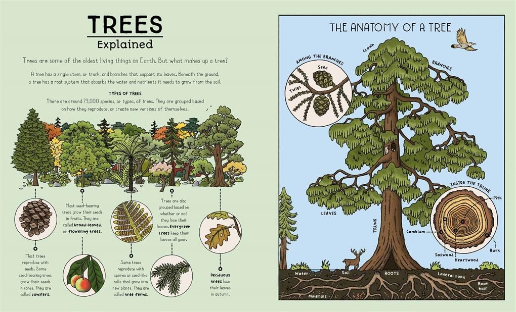 Nature Explained: A Family Guide to 20 Nature Cycles by Helen Brown