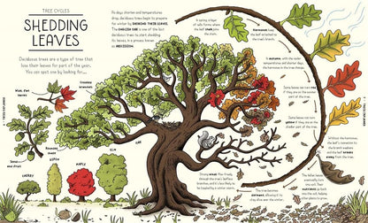 Nature Explained: A Family Guide to 20 Nature Cycles by Helen Brown