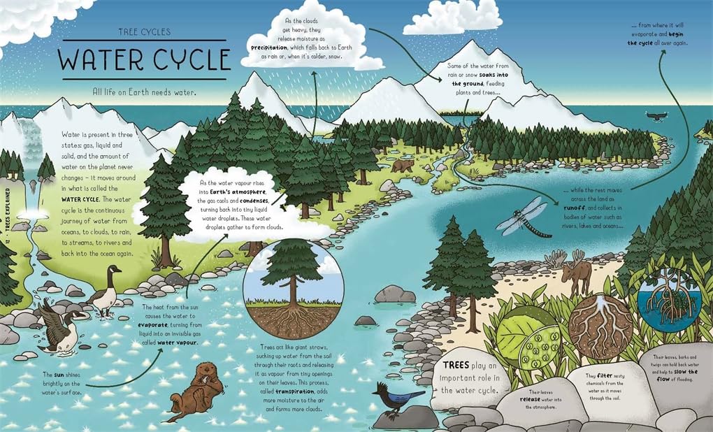 Nature Explained: A Family Guide to 20 Nature Cycles by Helen Brown