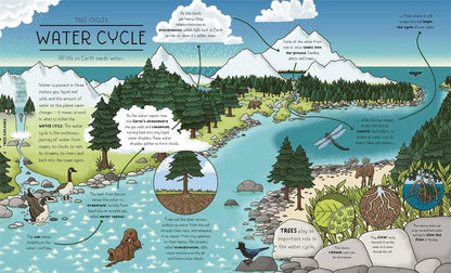 Nature Explained: A Family Guide to 20 Nature Cycles by Helen Brown