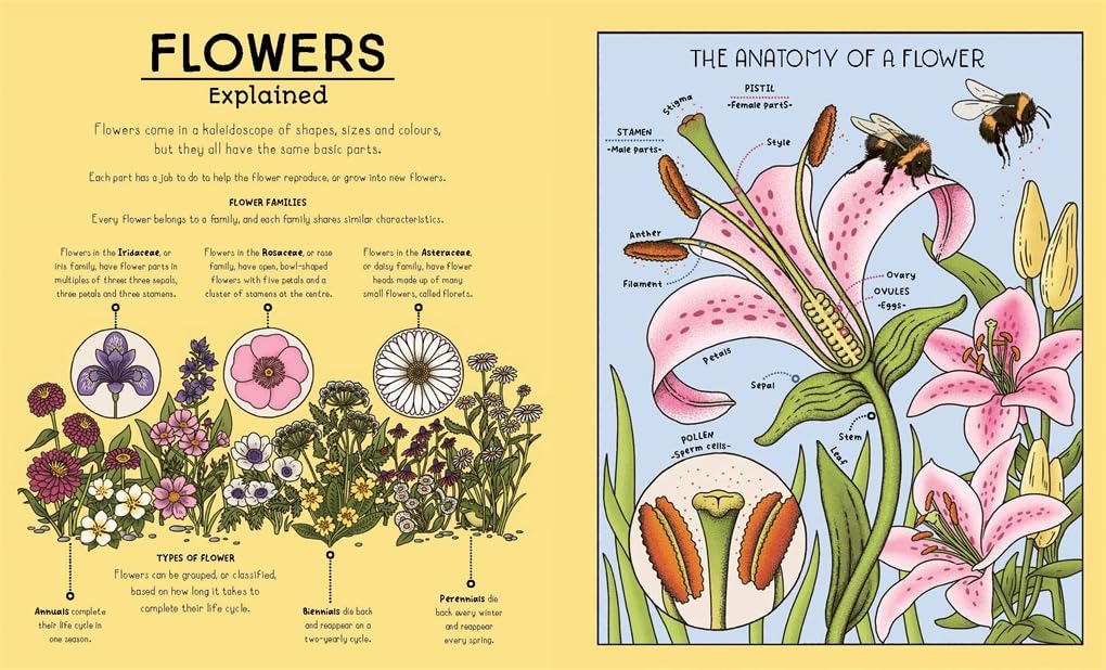 Nature Explained: A Family Guide to 20 Nature Cycles by Helen Brown