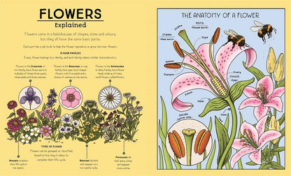 Nature Explained: A Family Guide to 20 Nature Cycles by Helen Brown