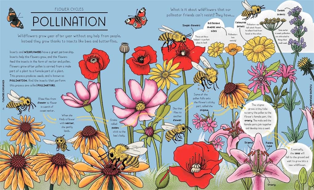 Nature Explained: A Family Guide to 20 Nature Cycles by Helen Brown