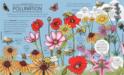 Nature Explained: A Family Guide to 20 Nature Cycles by Helen Brown