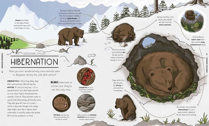 Nature Explained: A Family Guide to 20 Nature Cycles by Helen Brown