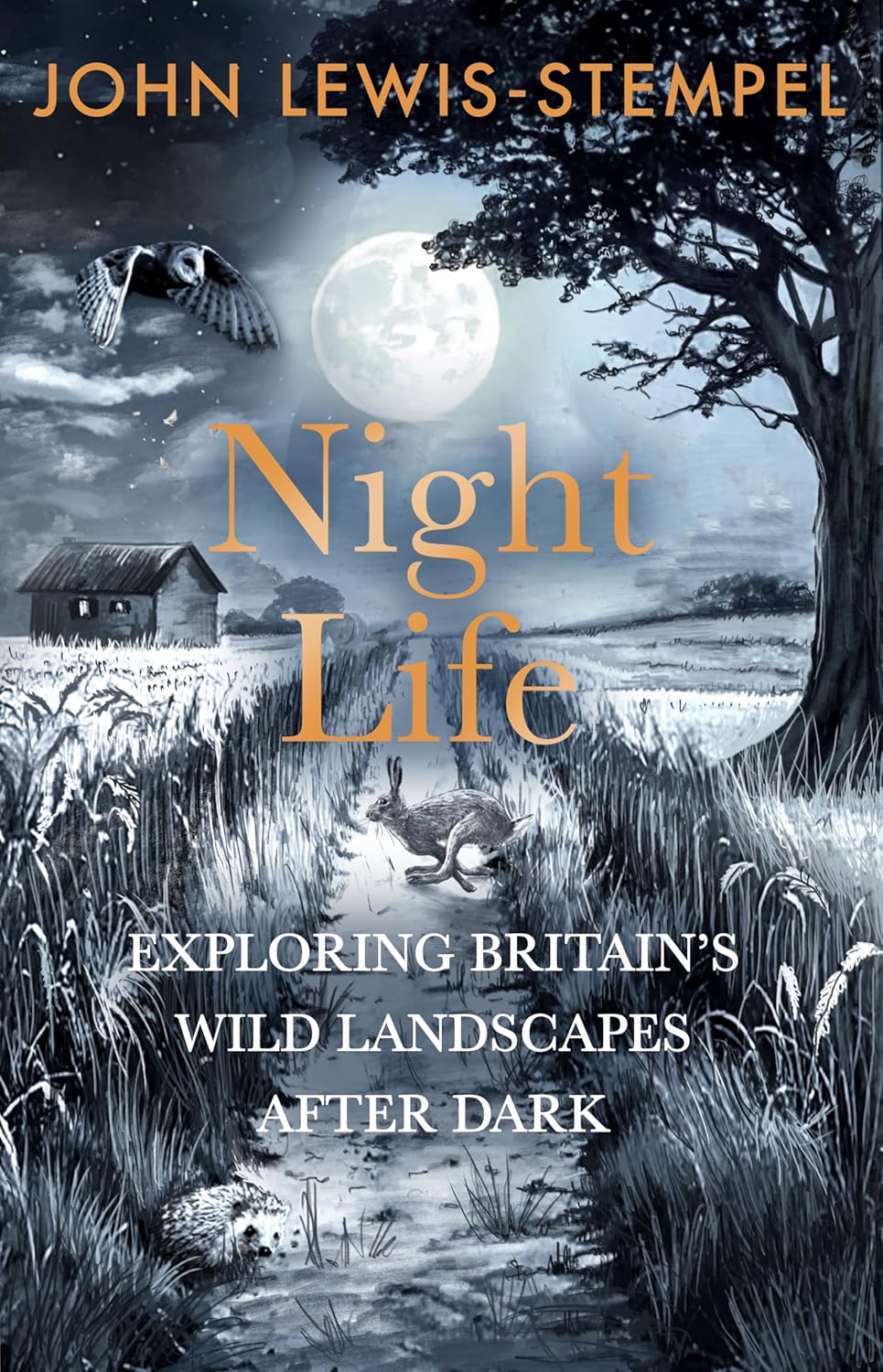 Night Life: Walking Britain’s wild landscapes after dark by John Lewis-Stempel