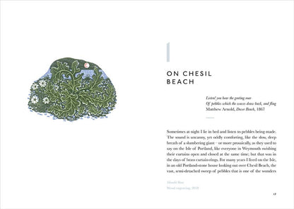 The Book of Pebbles: From Prehistory to the Pet Shop Boys by Christopher Stocks & Angie Lewin
