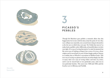 The Book of Pebbles: From Prehistory to the Pet Shop Boys by Christopher Stocks & Angie Lewin