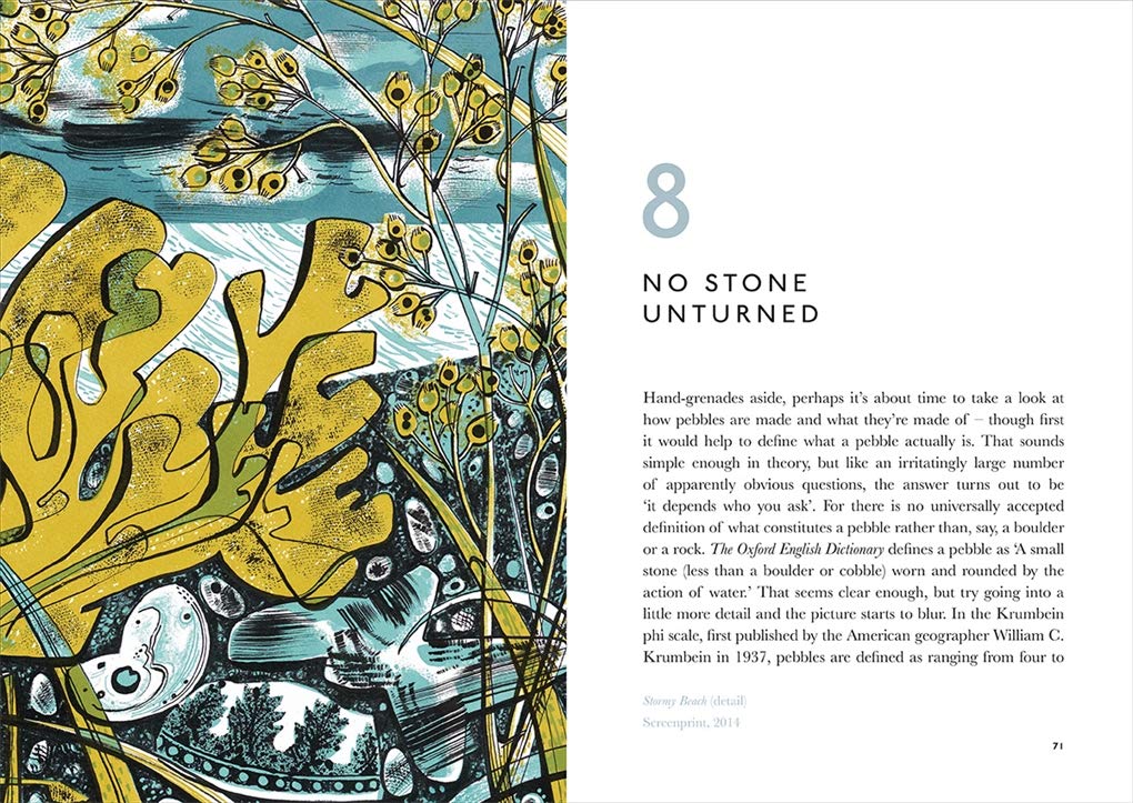 The Book of Pebbles: From Prehistory to the Pet Shop Boys by Christopher Stocks & Angie Lewin