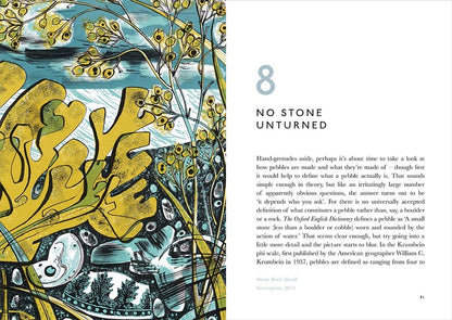 The Book of Pebbles: From Prehistory to the Pet Shop Boys by Christopher Stocks & Angie Lewin