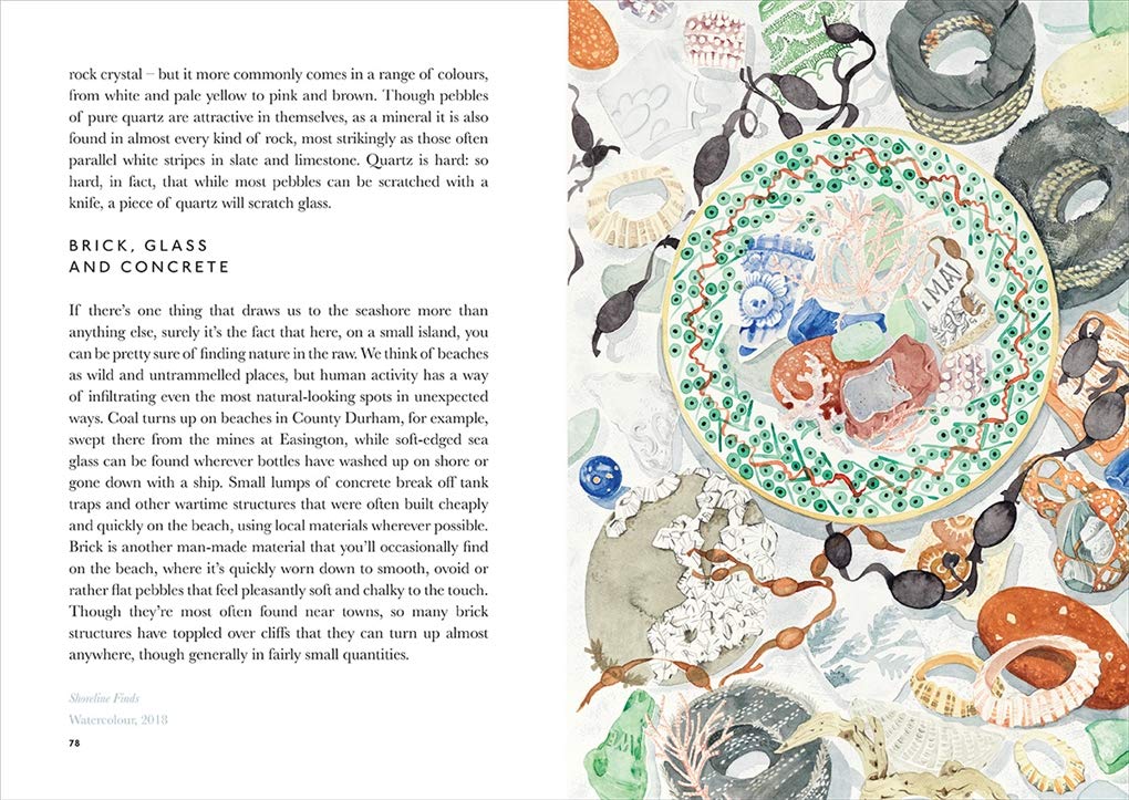 The Book of Pebbles: From Prehistory to the Pet Shop Boys by Christopher Stocks & Angie Lewin