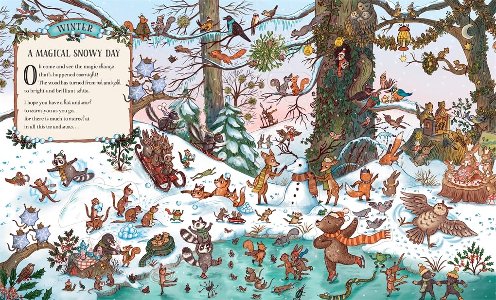 Here We Go Round the Woodland Year: A Lift-the-Flap Book by Rachel Piercey