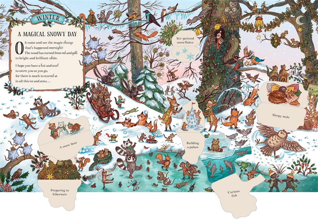 Here We Go Round the Woodland Year: A Lift-the-Flap Book by Rachel Piercey
