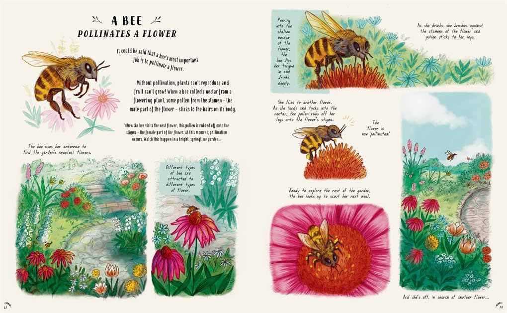 Slow Down: Bring Calm to a Busy World with 50 Nature Stories by Rachel Williams