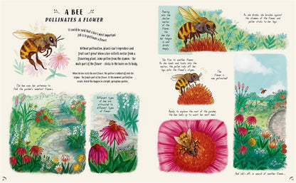 Slow Down: Bring Calm to a Busy World with 50 Nature Stories by Rachel Williams