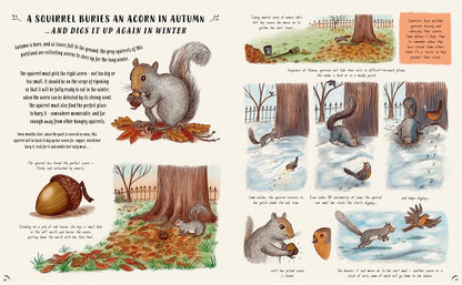 Slow Down: Bring Calm to a Busy World with 50 Nature Stories by Rachel Williams