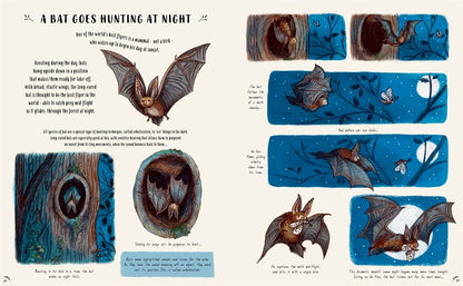 Slow Down: Bring Calm to a Busy World with 50 Nature Stories by Rachel Williams
