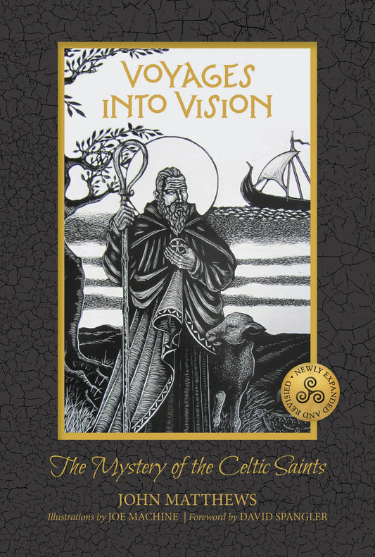 Voyages into Vision: The Mystery of the Celtic Saints by John Matthews