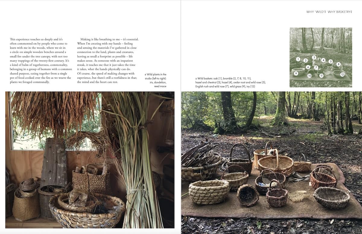 Wild Basketry: Making baskets and natural cordage from foraged plants by Ruby Taylor