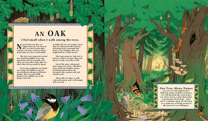 Woodlore: Discover the seasons and stories of the forest by Kevin Parr