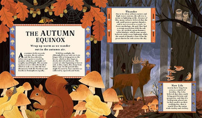 Woodlore: Discover the seasons and stories of the forest by Kevin Parr