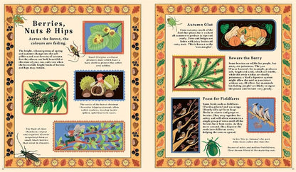 Woodlore: Discover the seasons and stories of the forest by Kevin Parr
