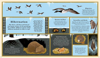 Woodlore: Discover the seasons and stories of the forest by Kevin Parr