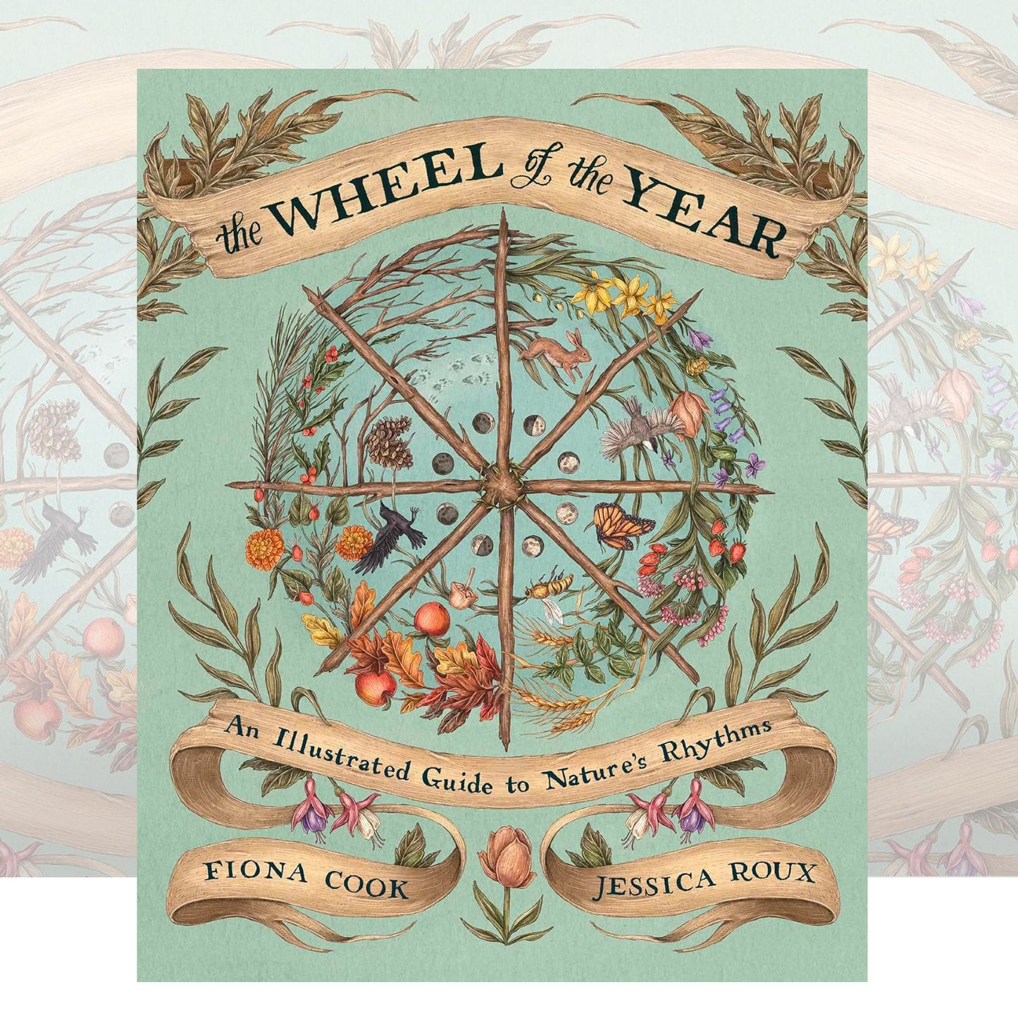 The Wheel of the Year : An Illustrated Guide to Nature's Rhythms by Fiona Cook