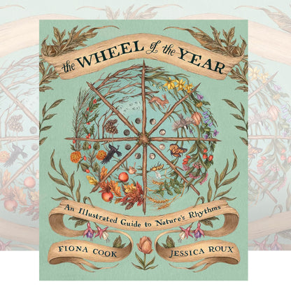 The Wheel of the Year : An Illustrated Guide to Nature's Rhythms by Fiona Cook