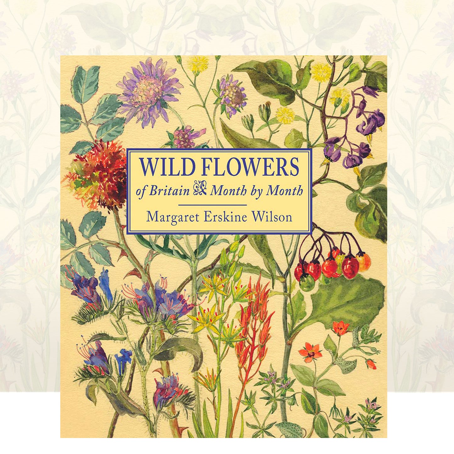 Wild Flowers of Britain: Month by Month illustrated by Margaret Erskine Wilson