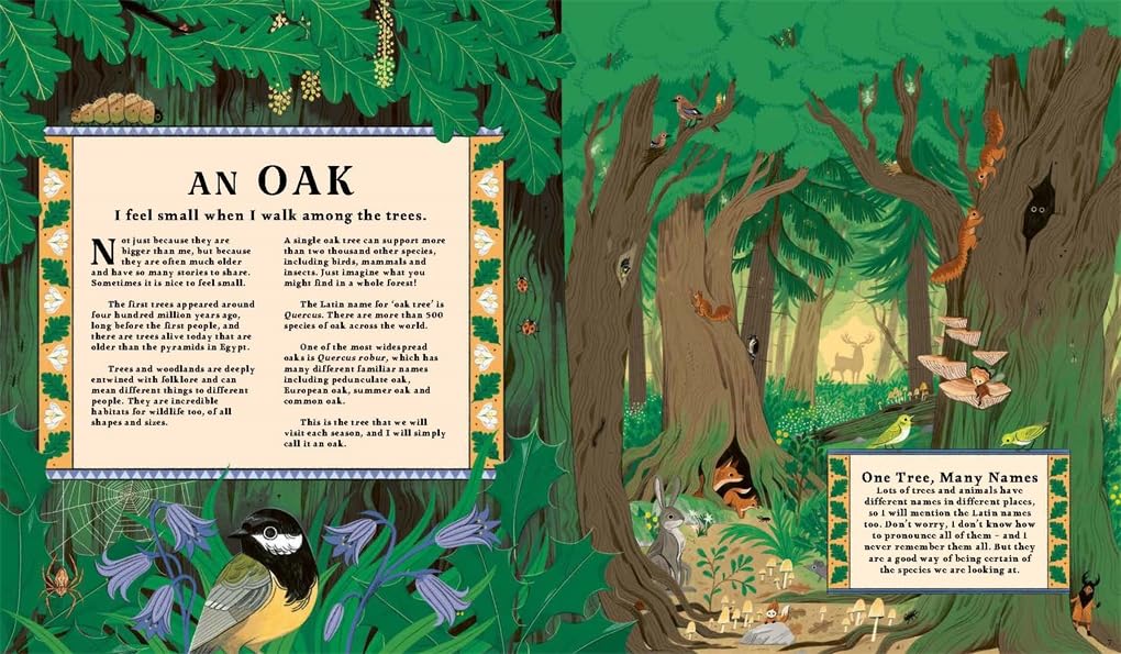 Woodlore: Discover the seasons and stories of the forest by Kevin Parr