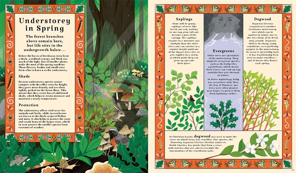 Woodlore: Discover the seasons and stories of the forest by Kevin Parr