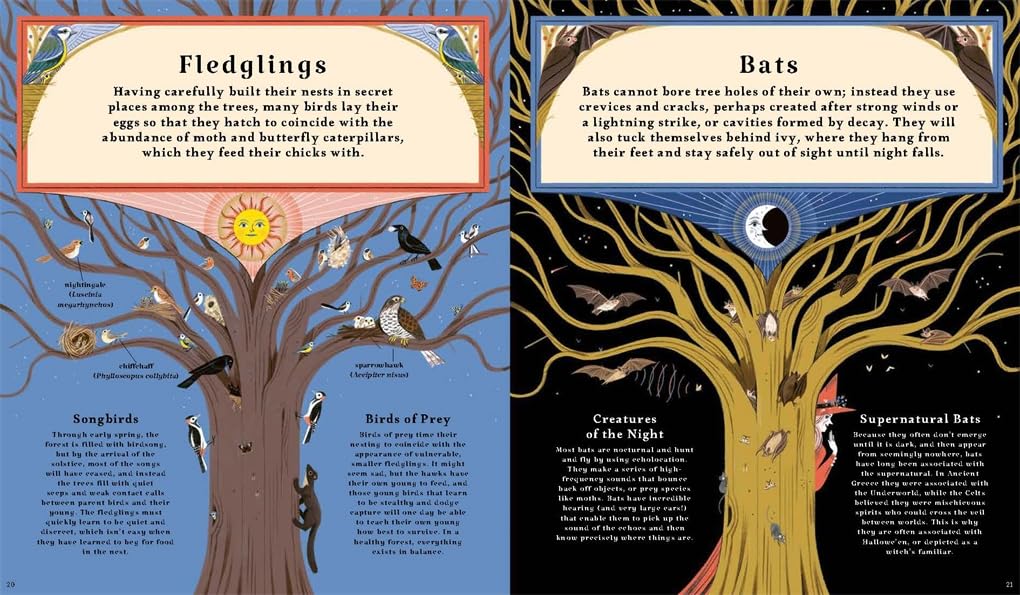 Woodlore: Discover the seasons and stories of the forest by Kevin Parr