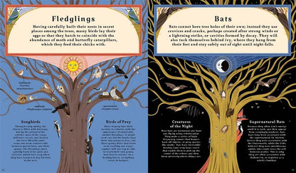 Woodlore: Discover the seasons and stories of the forest by Kevin Parr
