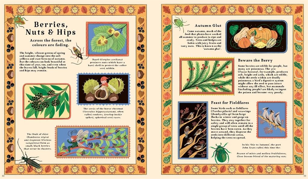 Woodlore: Discover the seasons and stories of the forest by Kevin Parr