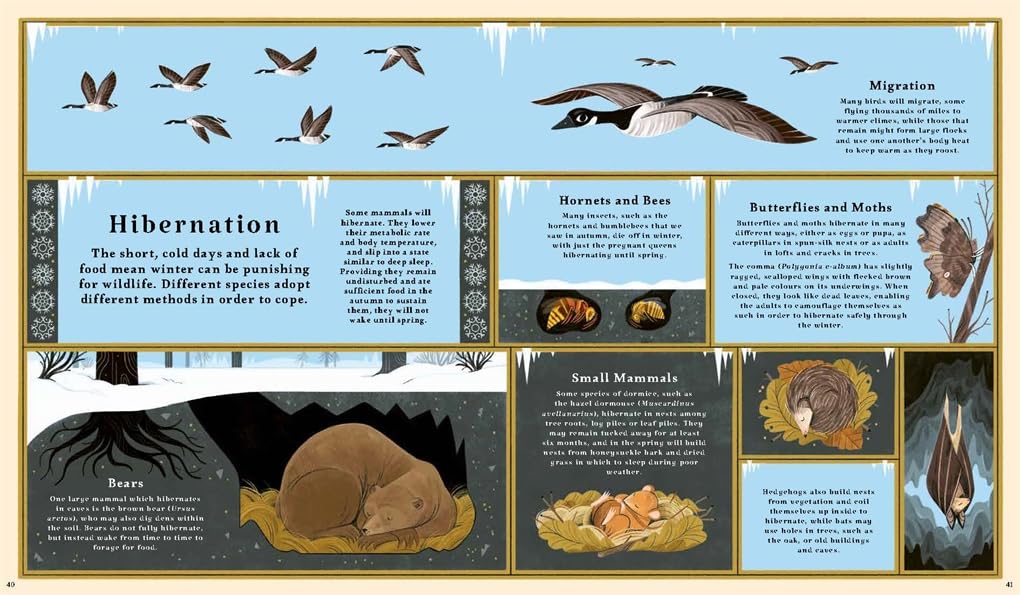 Woodlore: Discover the seasons and stories of the forest by Kevin Parr