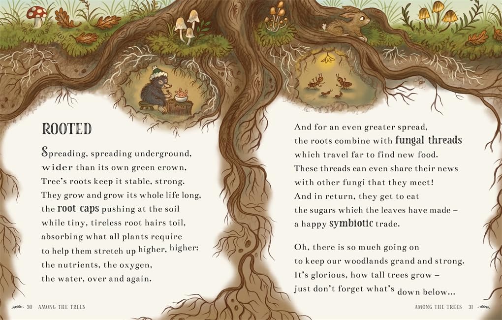 Wisdom of the Woods: 40 Poems to Treasure by Rachel Piercey