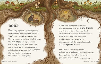 Wisdom of the Woods: 40 Poems to Treasure by Rachel Piercey