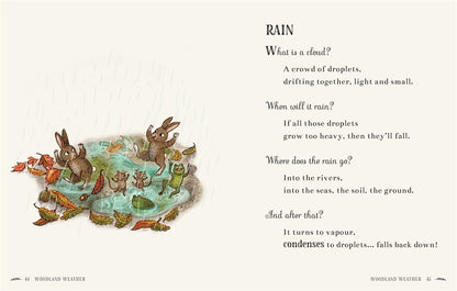 Wisdom of the Woods: 40 Poems to Treasure by Rachel Piercey