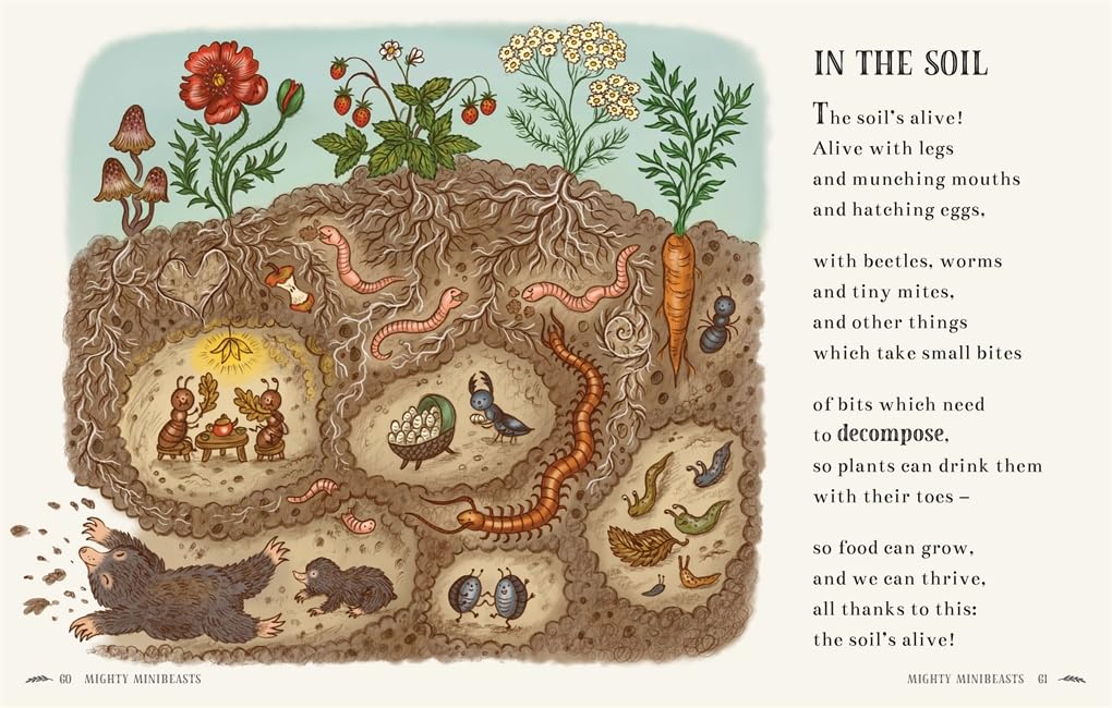 Wisdom of the Woods: 40 Poems to Treasure by Rachel Piercey