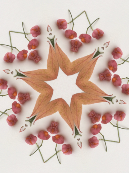 Seasonal Greeting Cards