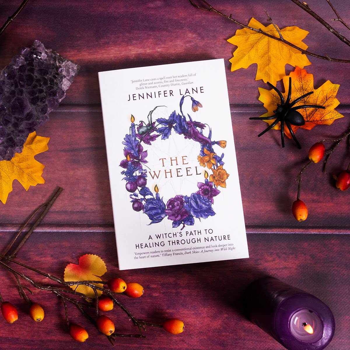 The Wheel : A Witch's Path to Healing Through Nature by Jennifer lane