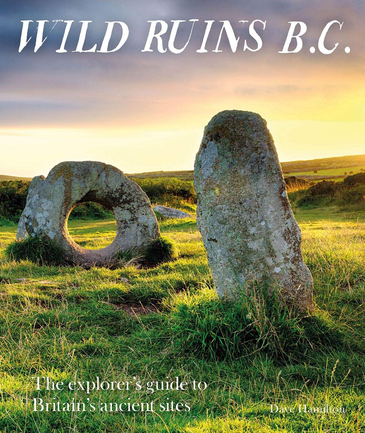 Wild Ruins BC : The explorer's guide to Britain's ancient sites by Dave Hamilton