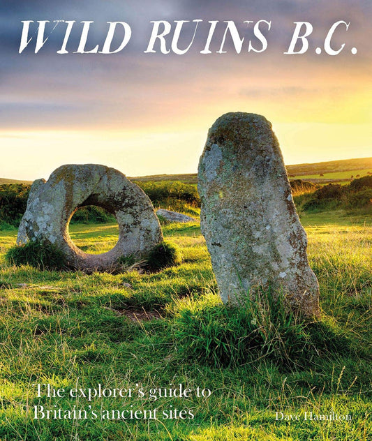 Wild Ruins BC : The explorer's guide to Britain's ancient sites by Dave Hamilton