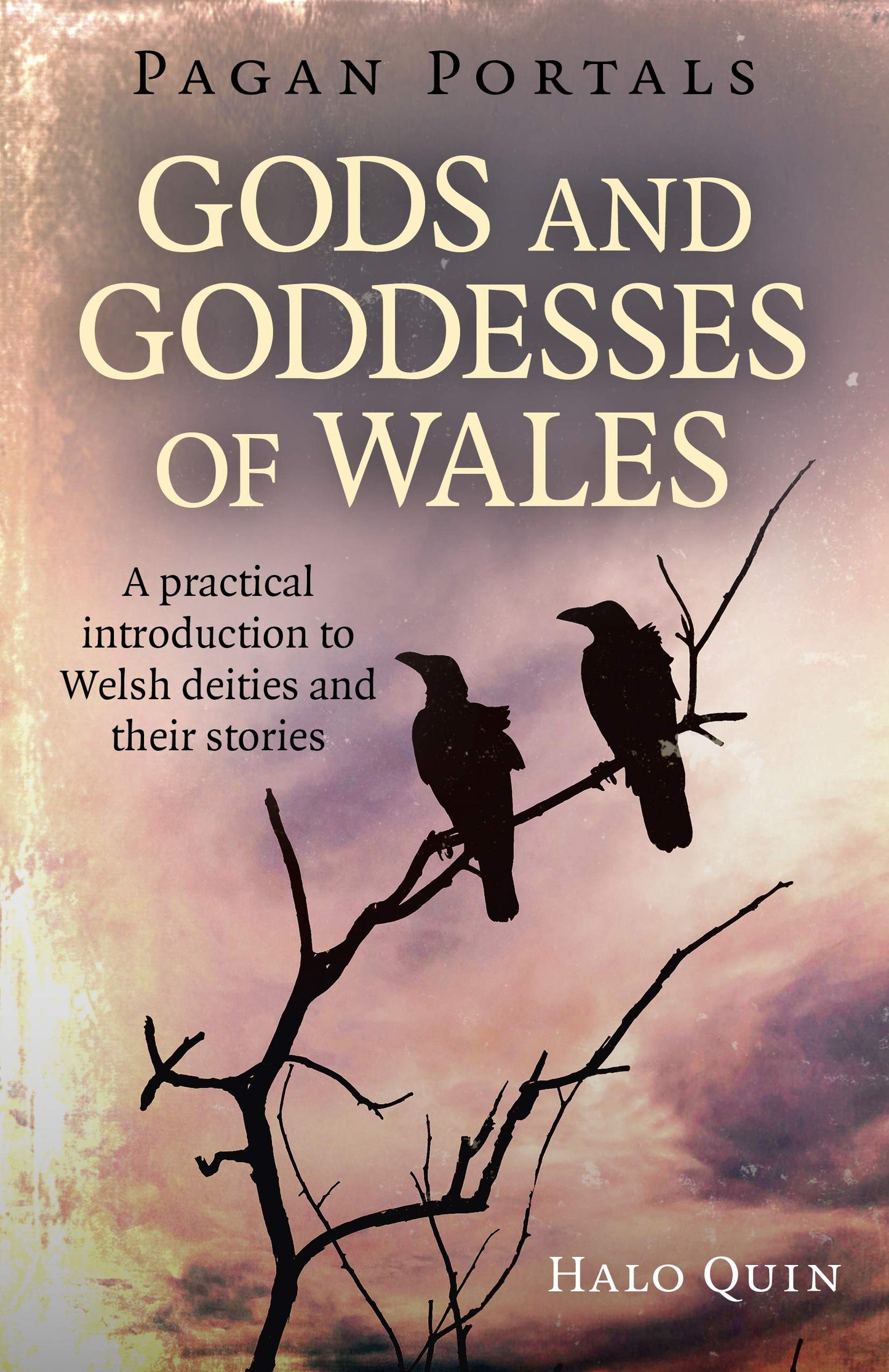 Gods and Goddesses of Wales by Halo Quin