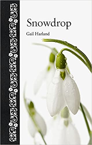 Snowdrop by Gail Harland