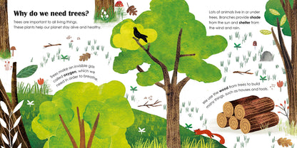 Trees: A lift-the-flap eco book