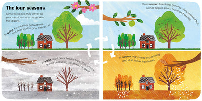 Trees: A lift-the-flap eco book