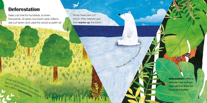 Trees: A lift-the-flap eco book