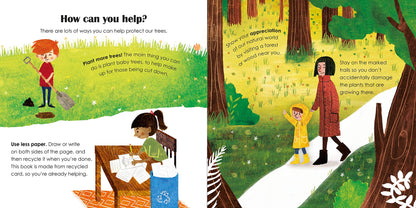 Trees: A lift-the-flap eco book